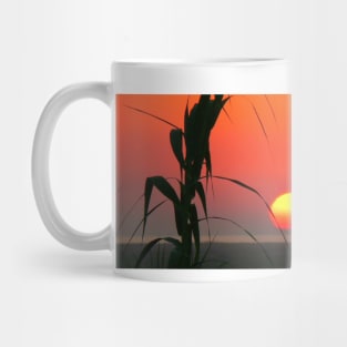 Algarve sunrise Mug